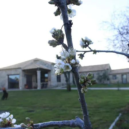 Quinta Da Ribeira * Belmonte (Castelo Branco)