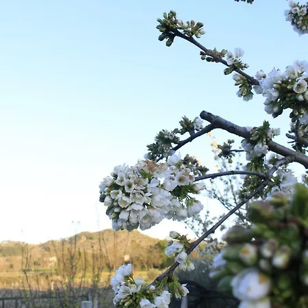 Quinta Da Ribeira Holiday home *