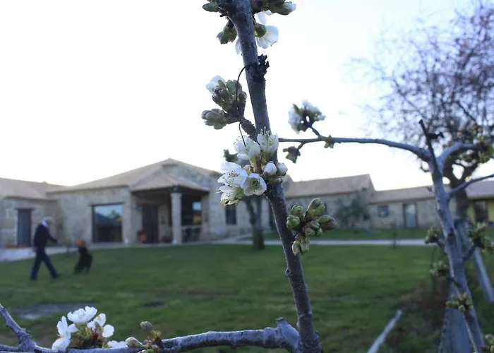 Quinta Da Ribeira * בלמונטה