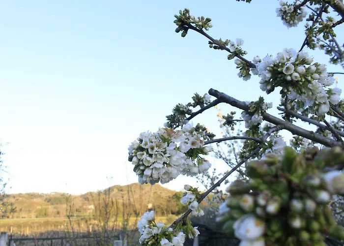 Quinta Da Ribeira בית נופש *